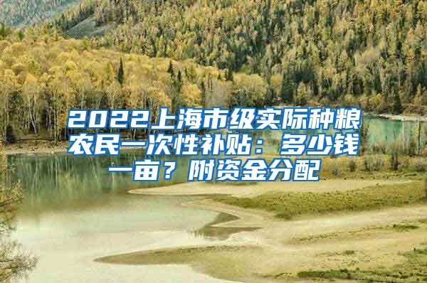 2022上海市級實際種糧農(nóng)民一次性補貼：多少錢一畝？附資金分配