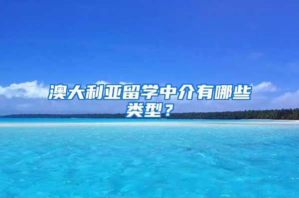 澳大利亞留學(xué)中介有哪些類型？