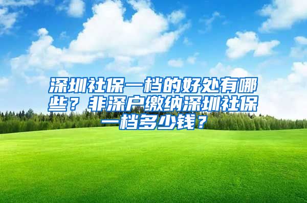 深圳社保一檔的好處有哪些？非深戶繳納深圳社保一檔多少錢？