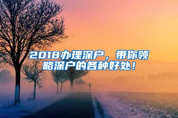 2018辦理深戶，帶你領(lǐng)略深戶的各種好處！