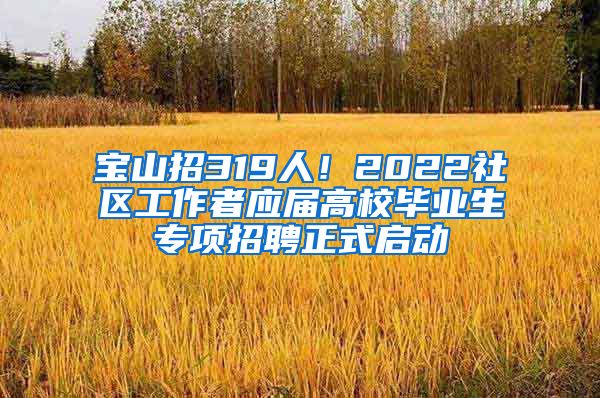 寶山招319人！2022社區(qū)工作者應(yīng)屆高校畢業(yè)生專項(xiàng)招聘正式啟動(dòng)