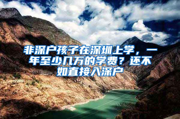 非深戶孩子在深圳上學(xué)，一年至少幾萬的學(xué)費(fèi)？還不如直接入深戶