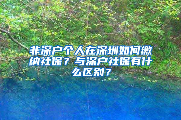 非深戶個人在深圳如何繳納社保？與深戶社保有什么區(qū)別？