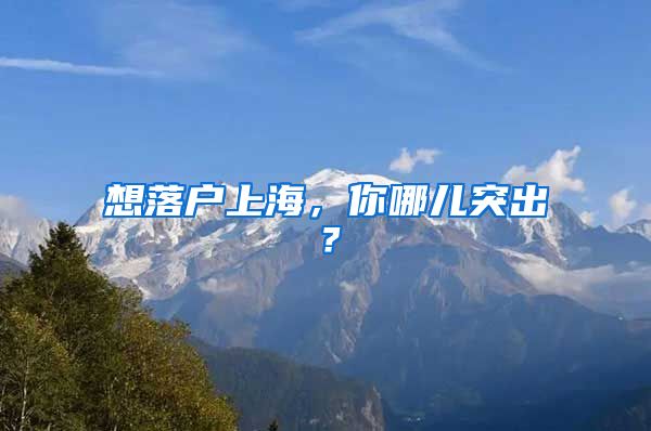 想落戶上海，你哪兒突出？