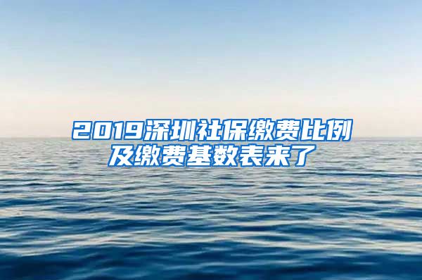 2019深圳社保繳費(fèi)比例及繳費(fèi)基數(shù)表來(lái)了