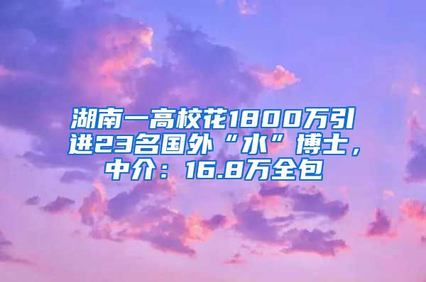 湖南一高?；?800萬引進23名國外“水”博士，中介：16.8萬全包