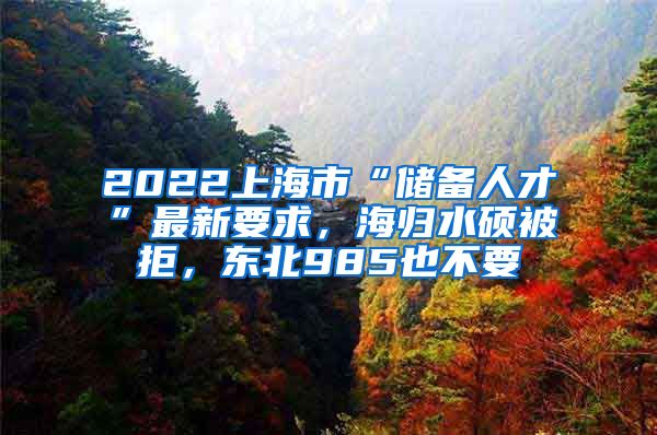 2022上海市“儲(chǔ)備人才”最新要求，海歸水碩被拒，東北985也不要