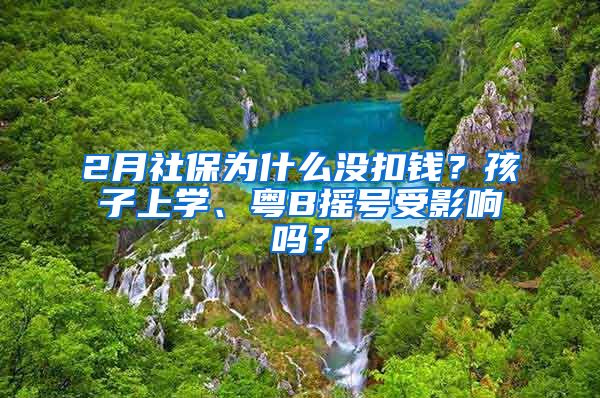 2月社保為什么沒扣錢？孩子上學、粵B搖號受影響嗎？