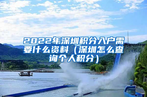 2022年深圳積分入戶需要什么資料（深圳怎么查詢個(gè)人積分）