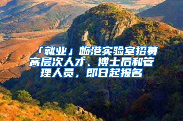 「就業(yè)」臨港實驗室招募高層次人才、博士后和管理人員，即日起報名