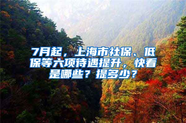 7月起，上海市社保、低保等六項待遇提升，快看是哪些？提多少？