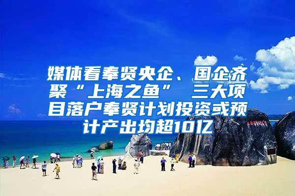 媒體看奉賢央企、國企齊聚“上海之魚” 三大項目落戶奉賢計劃投資或預計產(chǎn)出均超10億