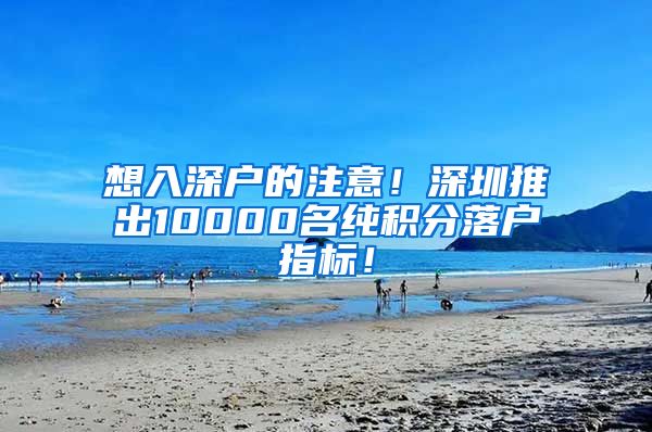 想入深戶的注意！深圳推出10000名純積分落戶指標(biāo)！