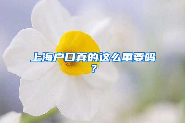 上海戶口真的這么重要嗎？