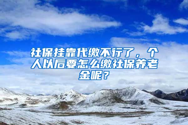 社保掛靠代繳不行了，個人以后要怎么繳社保養(yǎng)老金呢？