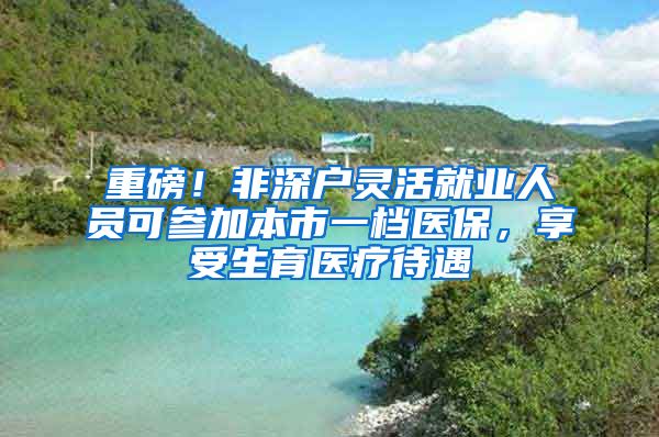 重磅！非深戶靈活就業(yè)人員可參加本市一檔醫(yī)保，享受生育醫(yī)療待遇