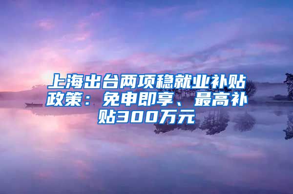 上海出臺兩項穩(wěn)就業(yè)補貼政策：免申即享、最高補貼300萬元