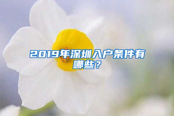 2019年深圳入戶條件有哪些？