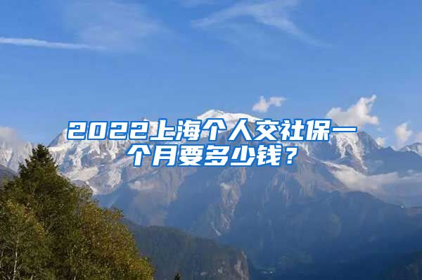 2022上海個人交社保一個月要多少錢？