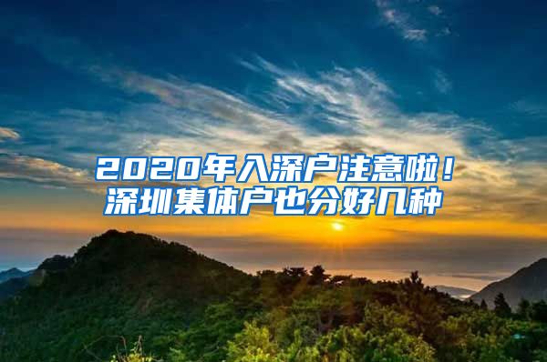 2020年入深戶注意啦！深圳集體戶也分好幾種