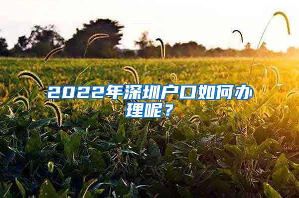 2022年深圳戶口如何辦理呢？