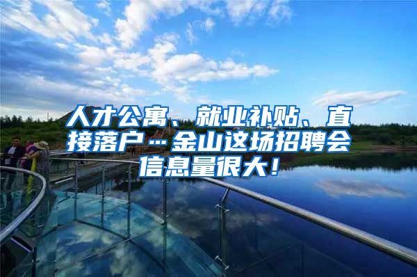 人才公寓、就業(yè)補(bǔ)貼、直接落戶…金山這場招聘會信息量很大！