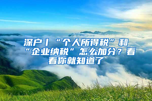 深戶丨“個人所得稅”和“企業(yè)納稅”怎么加分？看看你就知道了