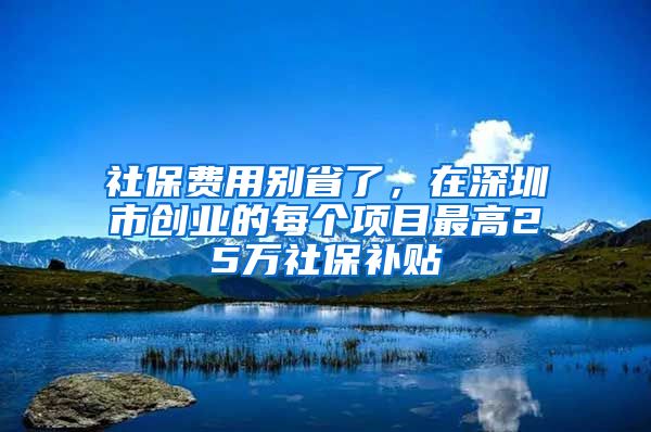 社保費(fèi)用別省了，在深圳市創(chuàng)業(yè)的每個(gè)項(xiàng)目最高25萬(wàn)社保補(bǔ)貼