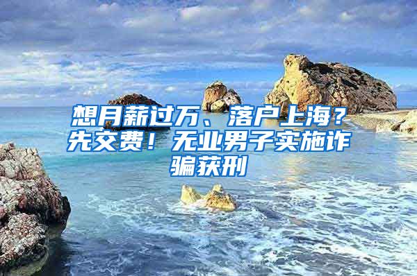 想月薪過(guò)萬(wàn)、落戶(hù)上海？先交費(fèi)！無(wú)業(yè)男子實(shí)施詐騙獲刑