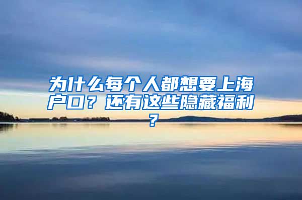 為什么每個人都想要上海戶口？還有這些隱藏福利？