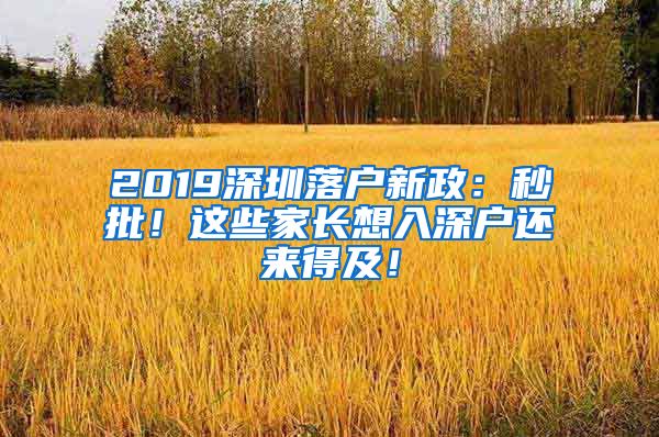 2019深圳落戶新政：秒批！這些家長(zhǎng)想入深戶還來得及！