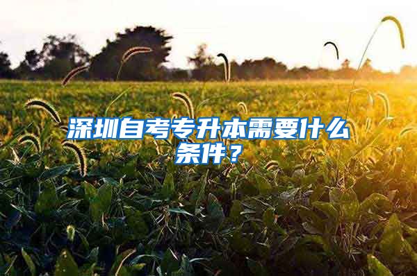 深圳自考專升本需要什么條件？