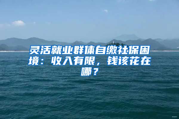 靈活就業(yè)群體自繳社保困境：收入有限，錢該花在哪？