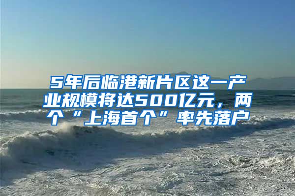 5年后臨港新片區(qū)這一產(chǎn)業(yè)規(guī)模將達500億元，兩個“上海首個”率先落戶