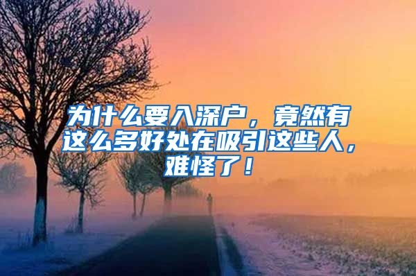 為什么要入深戶，竟然有這么多好處在吸引這些人，難怪了！