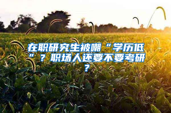 在職研究生被嘲“學(xué)歷低”？職場(chǎng)人還要不要考研？