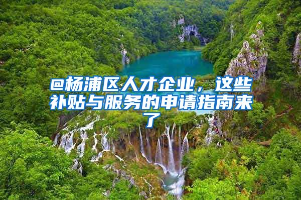 @楊浦區(qū)人才企業(yè)，這些補(bǔ)貼與服務(wù)的申請指南來了