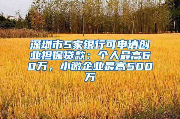 深圳市5家銀行可申請創(chuàng)業(yè)擔保貸款：個人最高60萬，小微企業(yè)最高500萬