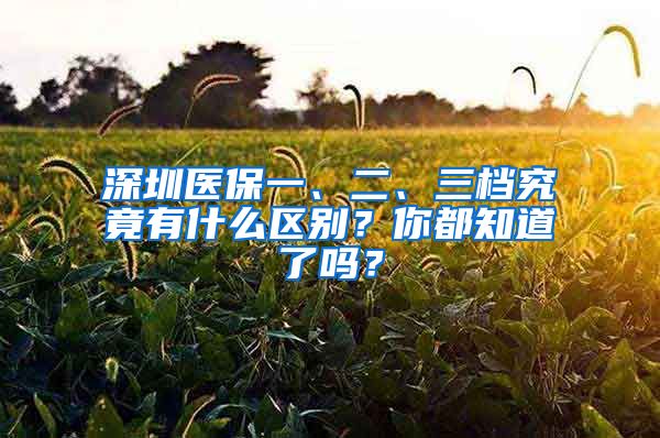 深圳醫(yī)保一、二、三檔究竟有什么區(qū)別？你都知道了嗎？