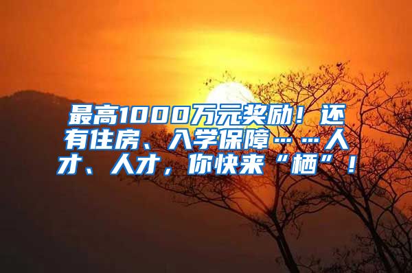 最高1000萬元獎勵！還有住房、入學保障……人才、人才，你快來“棲”！