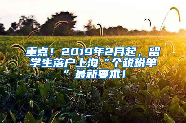 重點(diǎn)！2019年2月起，留學(xué)生落戶上?！皞€(gè)稅稅單”最新要求！