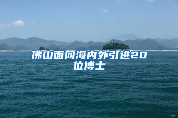 佛山面向海內外引進20位博士