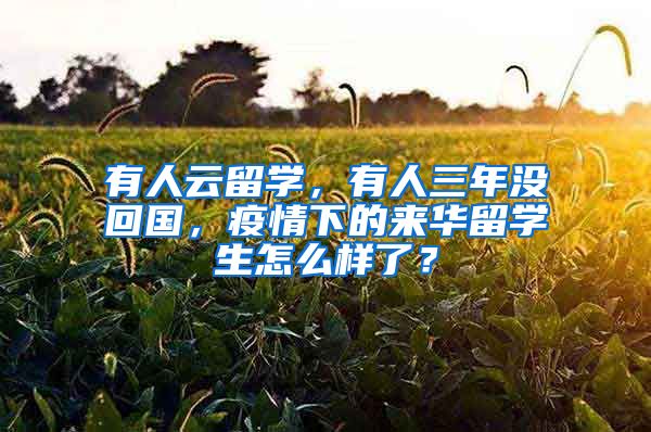 有人云留學(xué)，有人三年沒回國(guó)，疫情下的來華留學(xué)生怎么樣了？