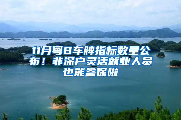 11月粵B車牌指標數(shù)量公布！非深戶靈活就業(yè)人員也能參保啦