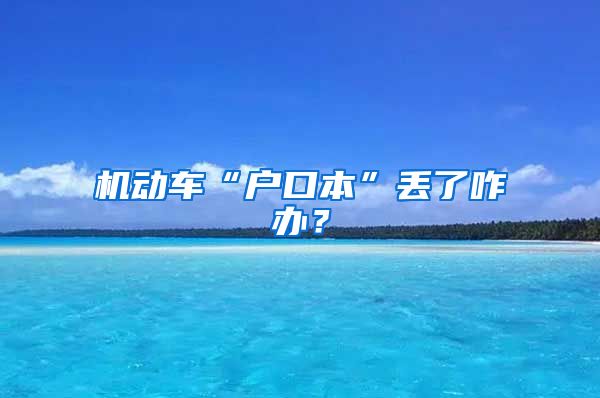 機動車“戶口本”丟了咋辦？