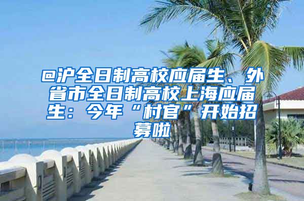 @滬全日制高校應(yīng)屆生、外省市全日制高校上海應(yīng)屆生：今年“村官”開始招募啦