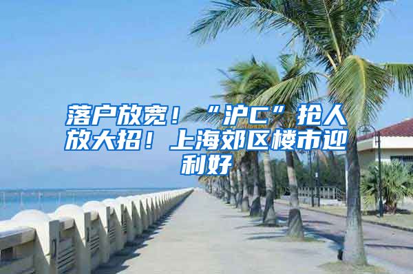 落戶放寬！“滬C”搶人放大招！上海郊區(qū)樓市迎利好