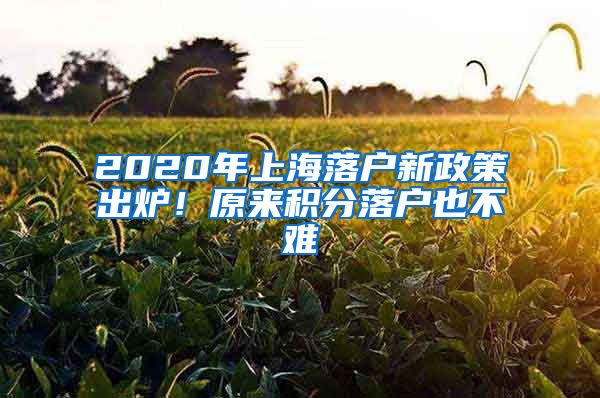 2020年上海落戶新政策出爐！原來積分落戶也不難