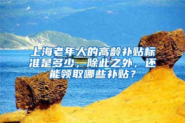 上海老年人的高齡補貼標準是多少，除此之外，還能領取哪些補貼？