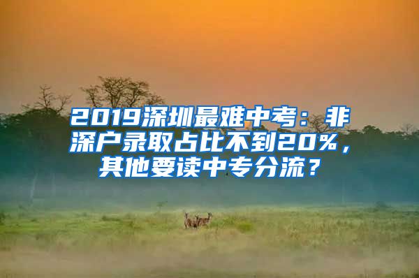 2019深圳最難中考：非深戶(hù)錄取占比不到20%，其他要讀中專(zhuān)分流？